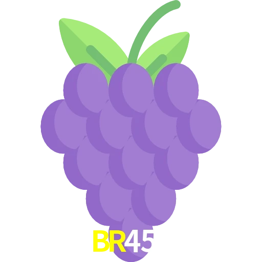BR456